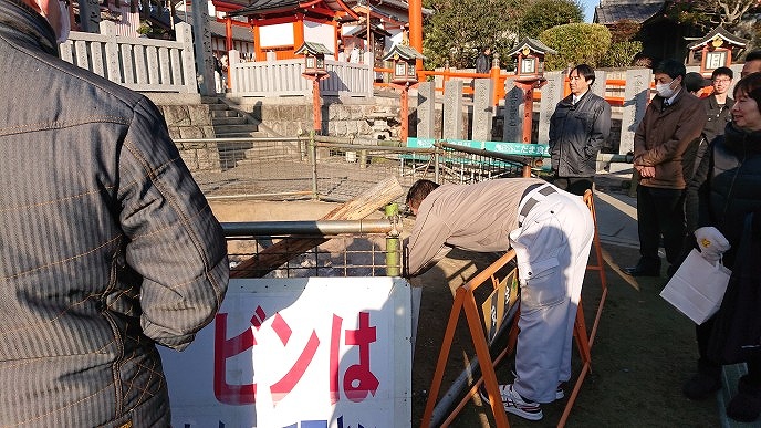 初出の画像